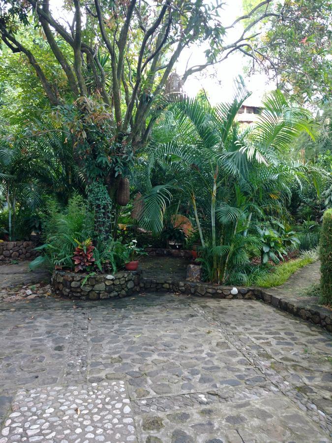 Casa D'Lobo Hotel Boutique 马利纳尔科 外观 照片
